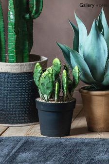 Gallery Home Green Artificial Opunia Cactus