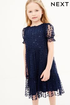 Navy Blue Next Tiered Tulle Dress (3-16yrs) (A32581) | £24 - £30