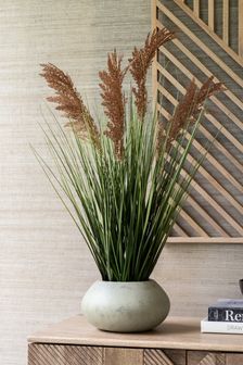 Artificial Pampass Grass Plant In Natural Ceramic Pot
