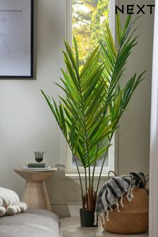Green Extra Large Artificial Kentia Palm Tree Plant in Black Pot