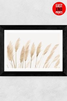 East End Prints Black Pampas by Sisi and Seb Framed Art Print
