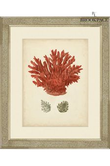Brookpace Lascelles Gold Antique Red Coral III in Antique Mirrored Frame