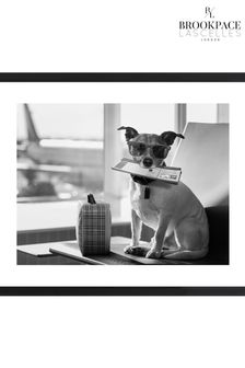Brookpace Lascelles Black 'Terrier Travel' Photographic Print in Glass Frame