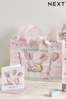 Pink New Baby Born in 2023 Card and Tissue Pack (C80442) | £4