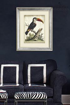Brookpace Lascelles Cream Toucan Print in Antique Mirrored Frame