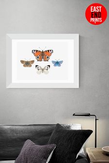 East End Prints White British Butterflies by Sisi and Seb Framed Print