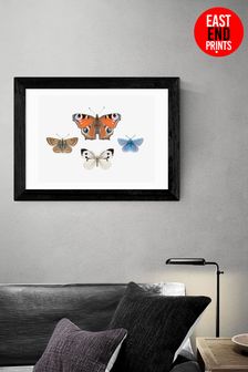 East End Prints White British Butterflies by Sisi and Seb Framed Print
