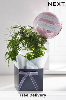 White Birthday Jasmine Real Plant Gift Bag (D85644) | £26