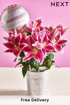 Pink Oriental Lily and Birthday Balloon Real Plant Gift Bag (D85652) | £28
