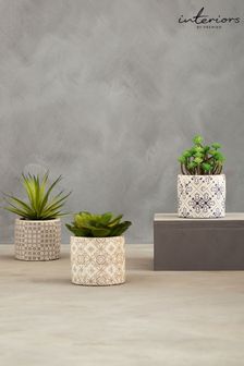Interiors by Premier Green Set of 3 Fiori Succulents in Henna Ceramic Pots