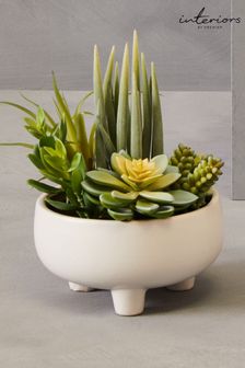 Interiors by Premier White Fiori Mixed Succulents In Large Ceramic Pots