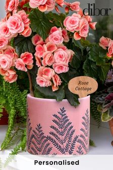 Personalised Pink Ceramic Planter by Dibor