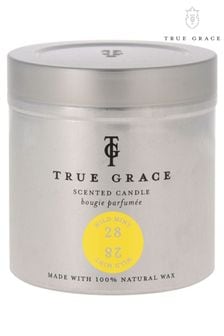 True Grace Tin Scented Candle Wild Mint