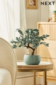 Green Artificial Bonsai Tree In Sage Green Pot