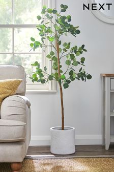 Green Artificial Eucalyptus Tree In White Pot