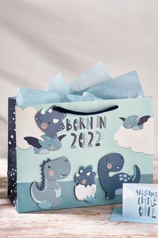 Blue Born In 2022 Baby Gift Bag and Card Set (M33286) | £3.50