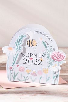 Grey Born In 2022 Baby Folding Card