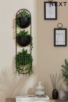 Green Artificial Succulent Plants In Black Wall Planter