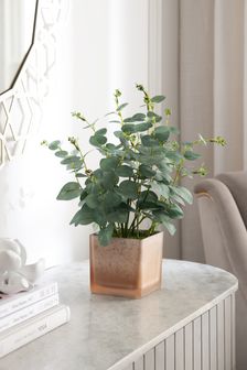 Green Artificial Eucalyptus Plant In Gold Glass Pot
