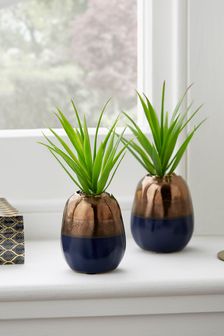 Set of 2 Green Artificial Succulent Plants In Navy Blue and Bronze Pot