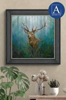 Artko Grey Red Deer Stag by Chris Sharp Framed Art