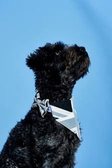 Grey Union Jack Jubilee Pet Collar And Bow Tie Set