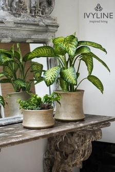Ivyline Gold Small Luxe Plant Pot