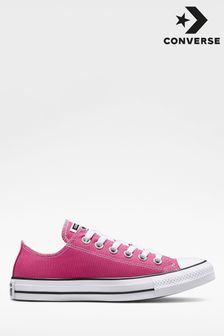 Converse Pink Chuck Ox Low Trainers