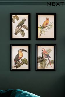Set of 4 Black Tropical Birds Framed Print Wall Art