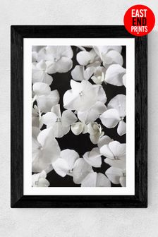 East End Prints White White Beauty On Black By Studio NaHili