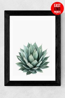 East End Prints White Succulent Set 2 Print by Sisi and Seb