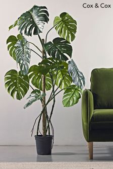 Cox & Cox Green Tall Faux Potted Monstera