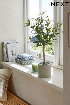 Green Small Artificial Olive Tree In Concrete Pot (T90160) | £32