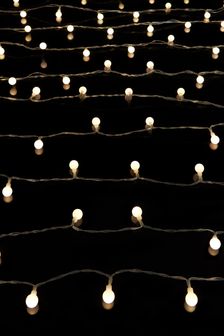 Warm White 300 Clear Cable Warm White Berry Christmas Line Lights (U18664) | £36