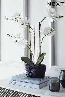 Navy Blue/White Artificial Real Touch Orchid In Hex Embossed Pot (U19585) | £32