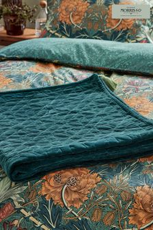 Morris & Co. Teal Blue Quilted Tassles Throw