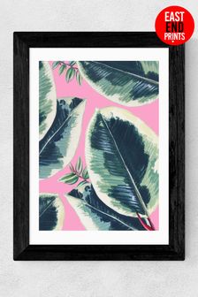 East End Prints Green Rubber Plant Print by Rocket 68