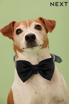 Black Pet Clip On Bow Tie (U41216) | £6