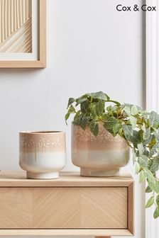 Cox & Cox Set of 2 Natural Dipped Glaze Speckled Planters (U41356) | £45