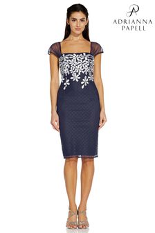 Adrianna Papell Blue Floral Embroidery Sheath Dress