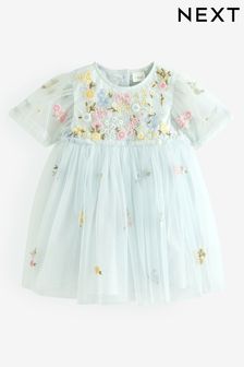 Pale Blue Embroidered Mesh Party Dress (3mths-7yrs) (U94265) | £20 - £24