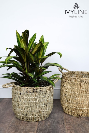 Ivyline Set of 2 Natural Seagrass Lined Baskets (113227) | £65