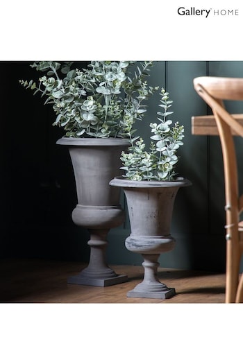 Gallery Home Gold Potted Eucalyptus Bush H920mm (127736) | £80
