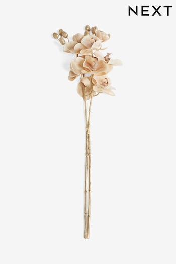 Set of 2 Gold Metallic Orchid Stems (132989) | £16