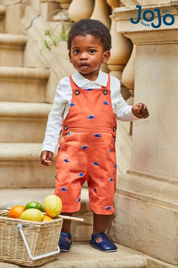 Younger Girls 3mths-7yrs Rust Dinosaur Embroidered Baby Dungarees (135828) | £25