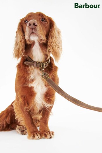 Barbour® Brown Leather Dog Lead (142080) | £22