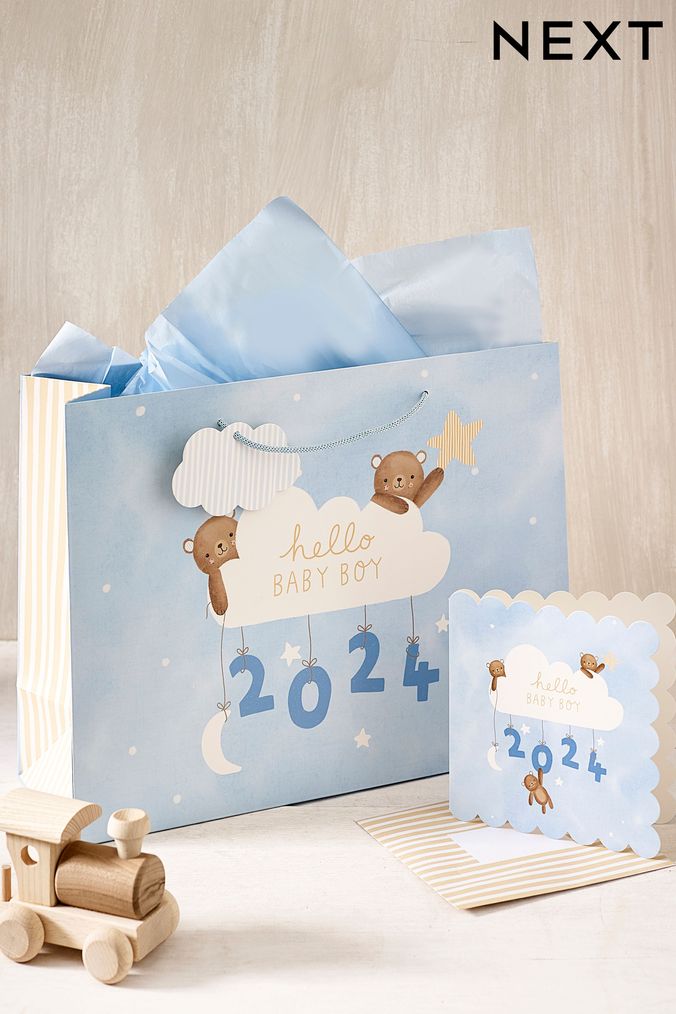 Unisex baby clearance gift bag
