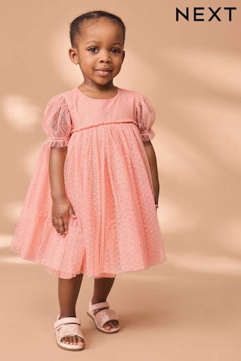 Coral Mesh Party Dress (3mths-7yrs) (156783) | £15 - £19