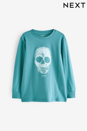 Blue Skull Long Sleeve Graphic T-Shirt (3-16yrs) (168076) | £7 - £12