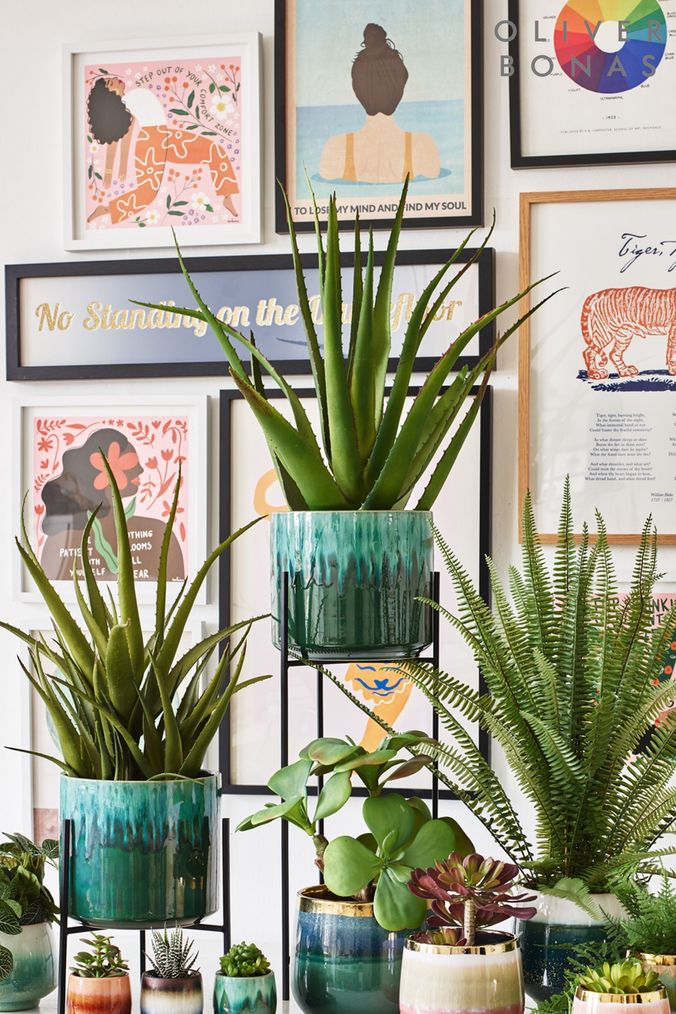 Next shop plant pots